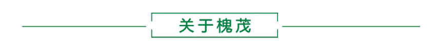 关于槐茂.png